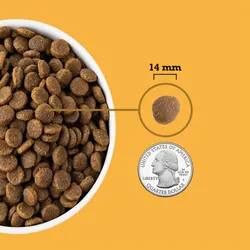 ACANA Free Run Poultry Dry Dog Food