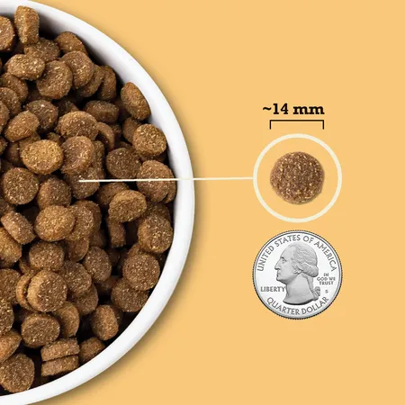 ACANA Wholesome Grains Free-Run Poultry & Grains Recipe Dry Dog Food