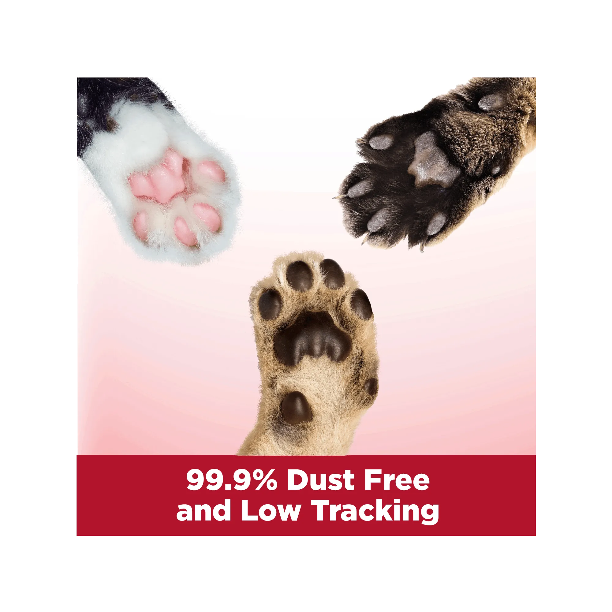 ARM & HAMMER Clump & Seal Multi-Cat Complete Odor Sealing Clumping Cat Litter, 14 lb