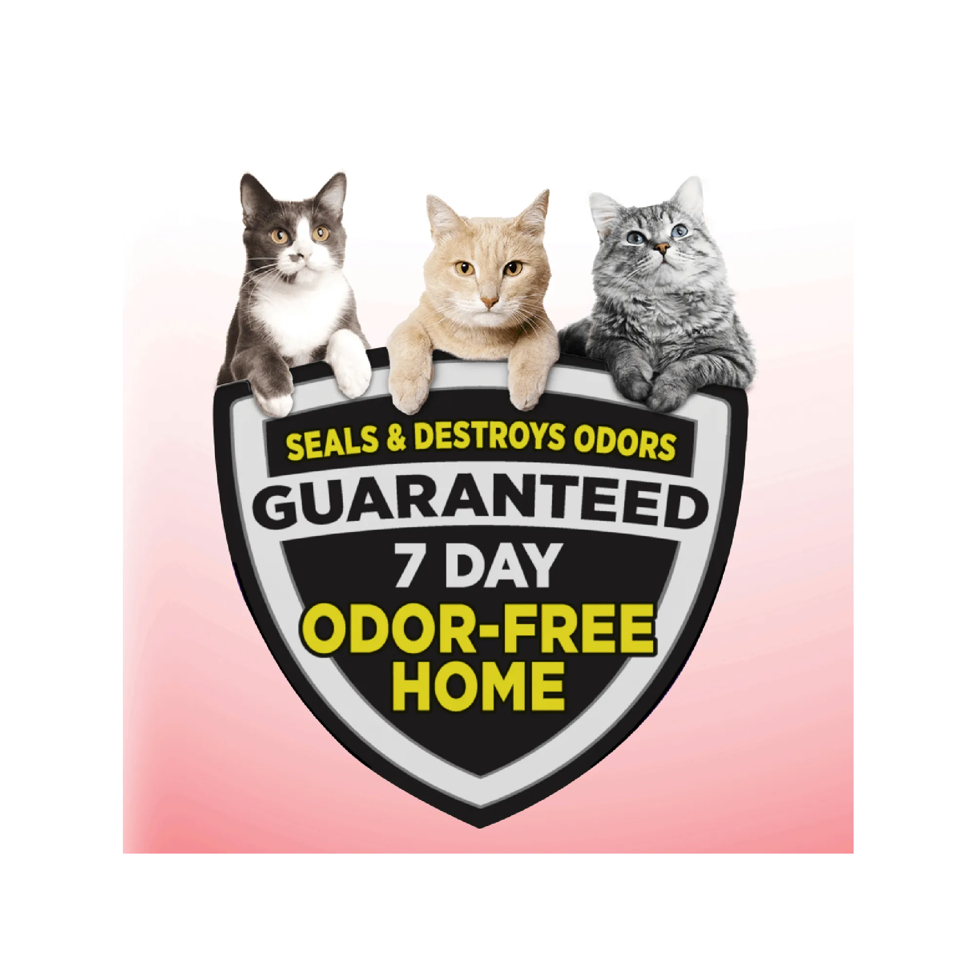 ARM & HAMMER Clump & Seal Multi-Cat Complete Odor Sealing Clumping Cat Litter, 14 lb