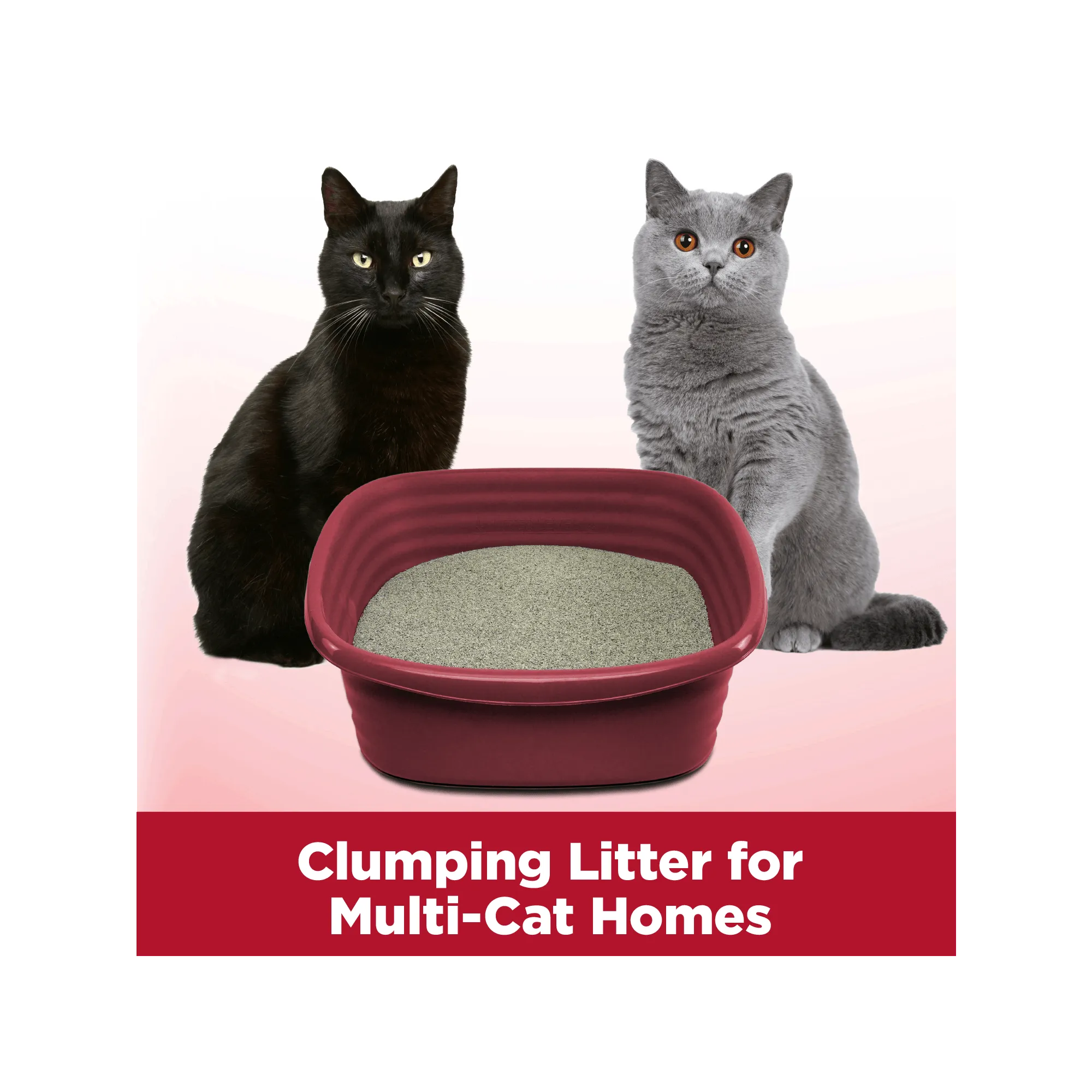 ARM & HAMMER Clump & Seal Multi-Cat Complete Odor Sealing Clumping Cat Litter, 14 lb