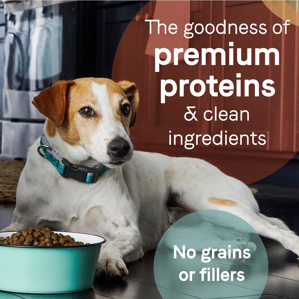 Canidae Grain Free PURE Salmon & Sweet Potato Recipe Dry Dog Food
