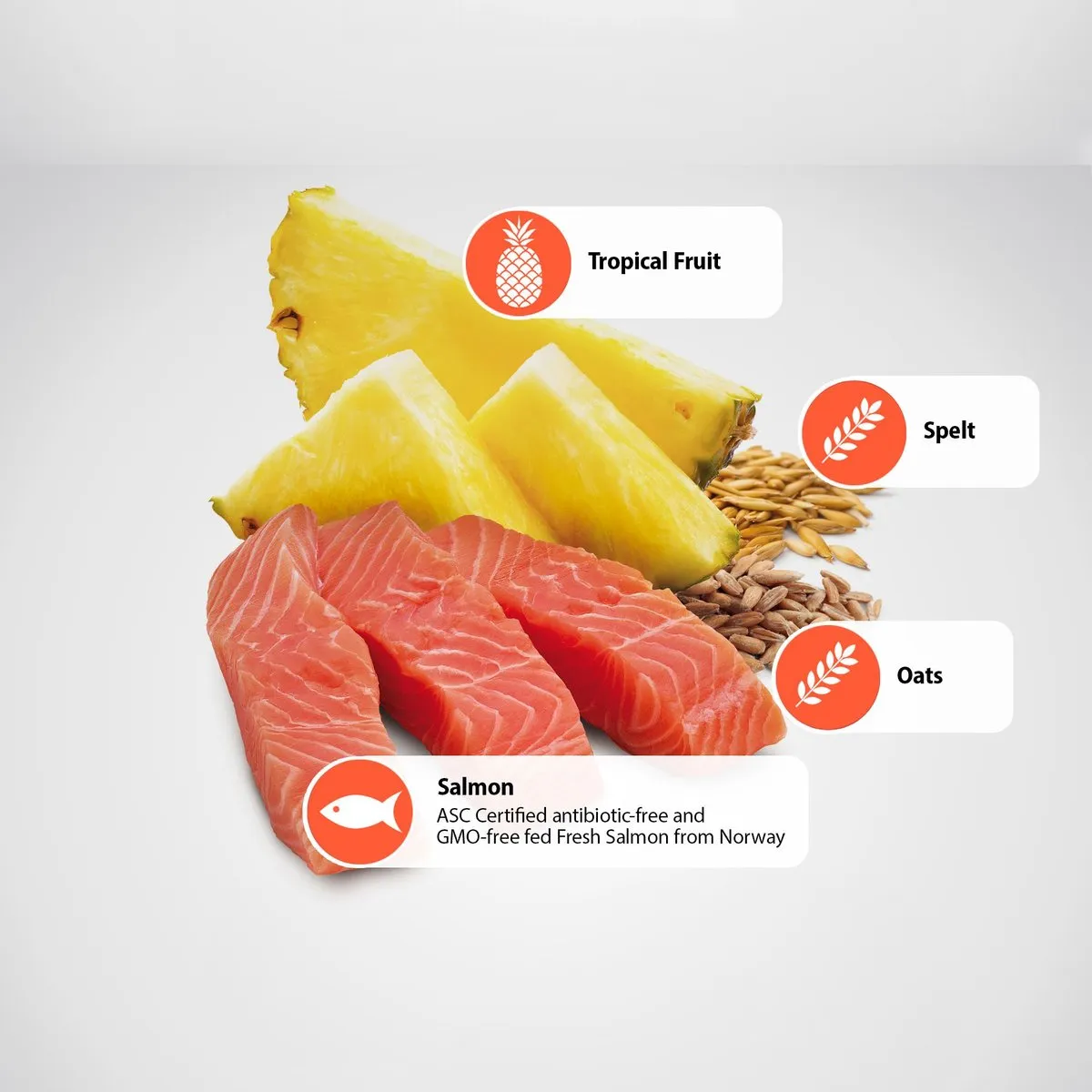 Farmina N&D Tropical Selection Salmon, Spelt, Oats & Tropical Fruits Medium & Maxi Adult Dry Dog Food