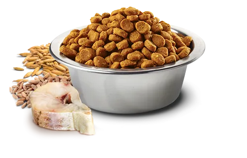 Farmina Natural & Delicious Ocean Ancestral Grain Codfish & Orange Adult Dry Cat Food