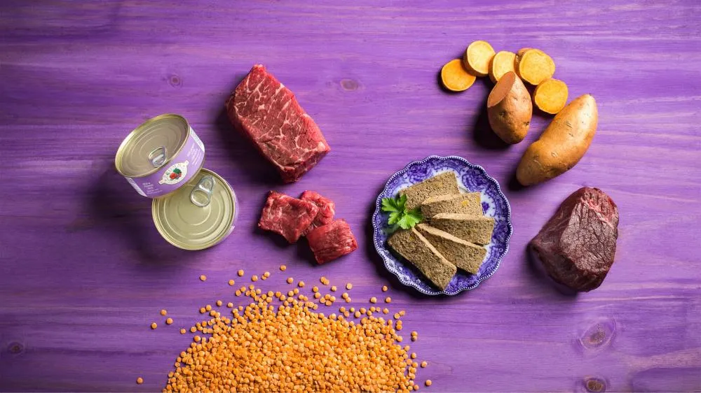 Fromm Four-Star Beef & Venison Pate Canned Cat Food