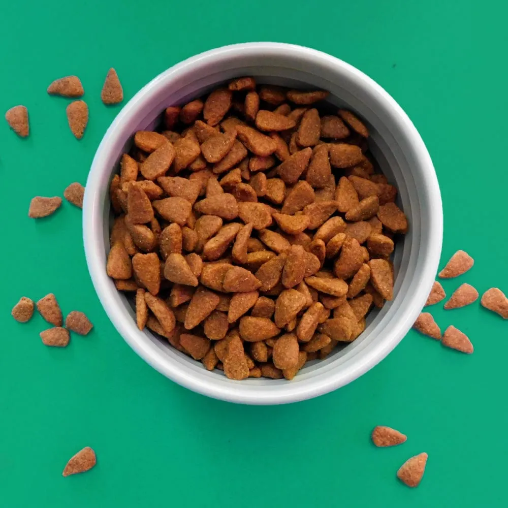 Fromm Four-Star Grain-Free Chicken au Frommage Dry Dog Food