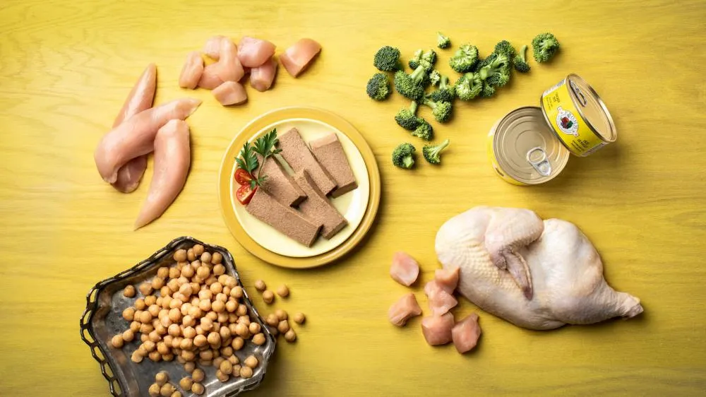 Fromm Four-Star Grain-Free Chicken Pate Canned Cat Food