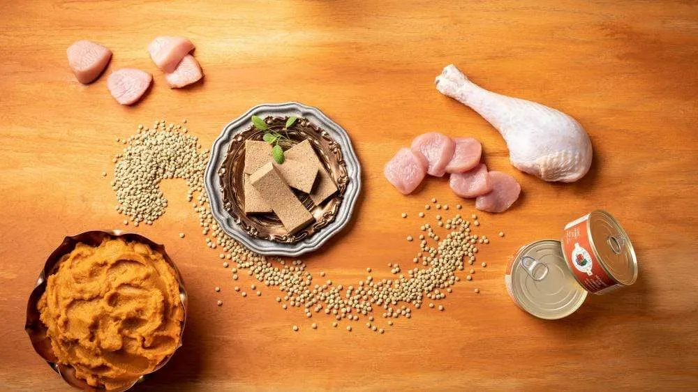 Fromm Four-Star Grain-Free Turkey & Pumpkin Pate Canned Cat Food