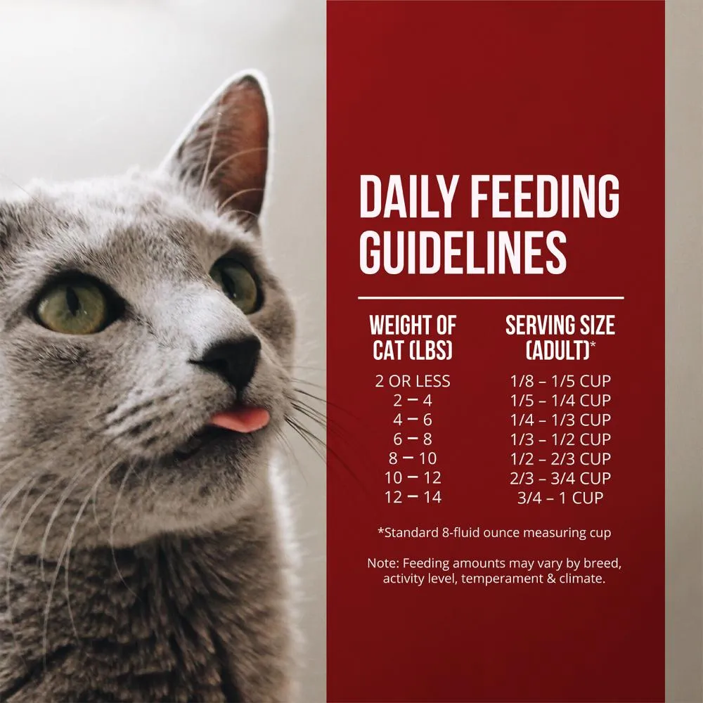 Fussie Cat Market Fresh Chicken & Turkey Recipe Dry Cat Food