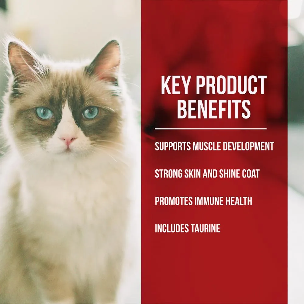 Fussie Cat Market Fresh Chicken & Turkey Recipe Dry Cat Food