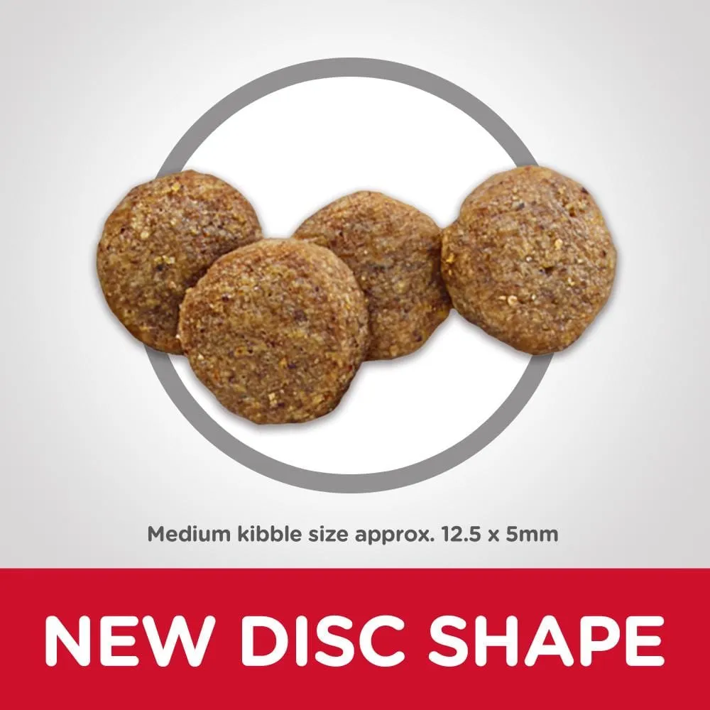 Hill's Science Diet Adult 7  Chicken, Rice, and Barley Recipe Dry Dog Food