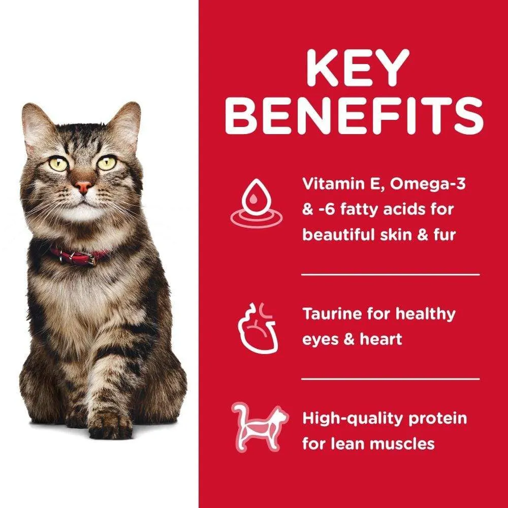 Hill's Science Diet Adult 7  Hairball Control Chicken Recipe Dry Cat Food