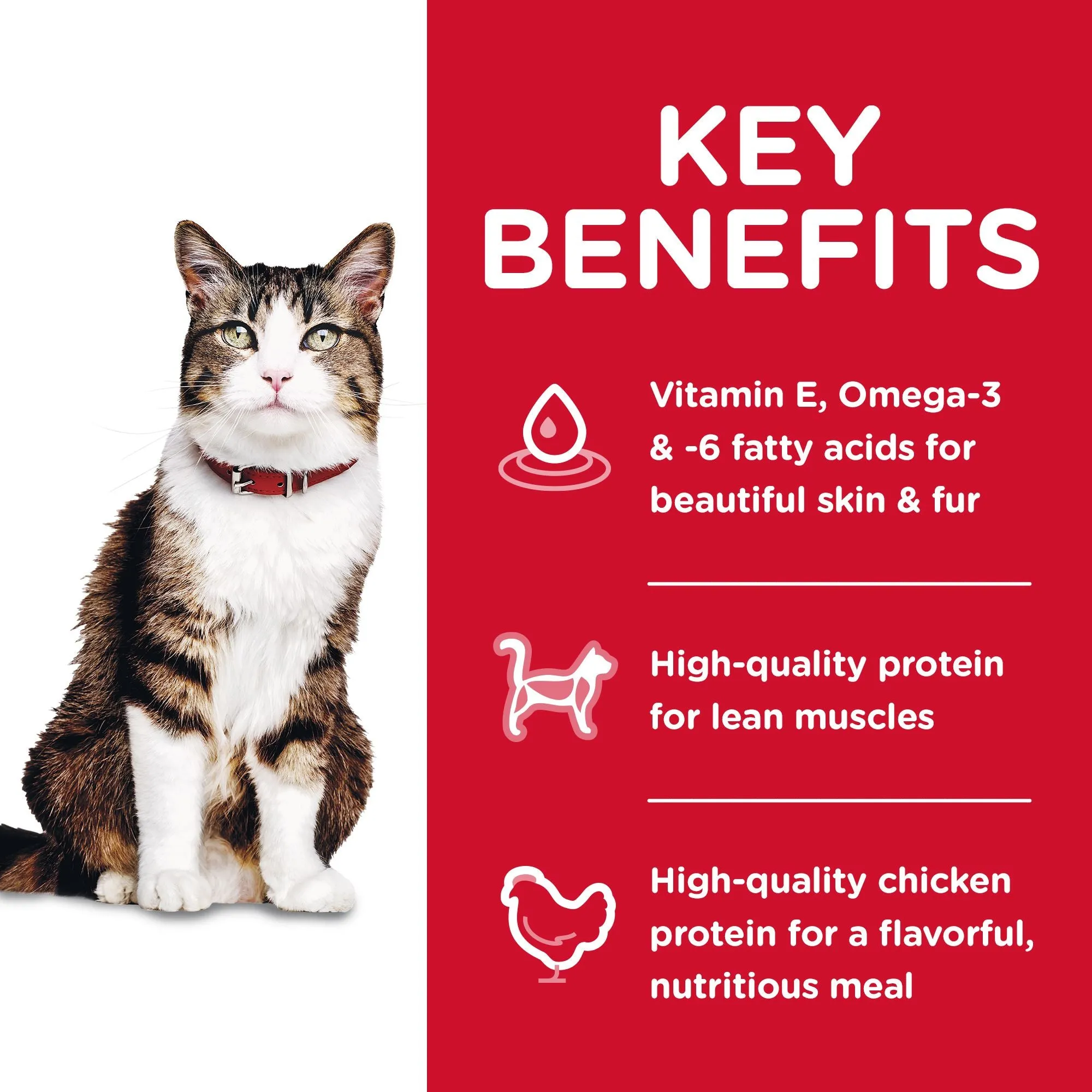 Hill's Science Diet Adult Hairball Control Dry Cat Food, Chicken Recipe