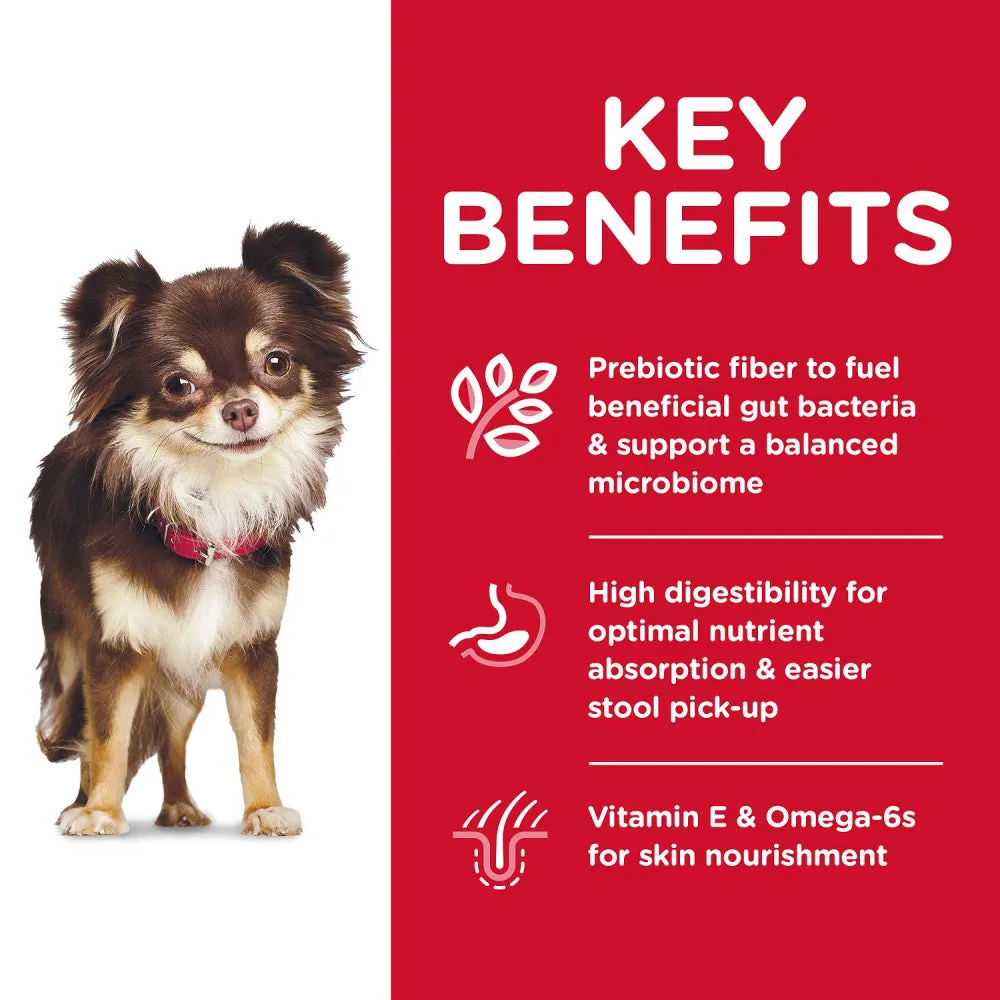 Hill's Science Diet Adult Sensitive Stomach & Skin Small & Mini Breed Chicken Recipe Dry Dry Dog Food