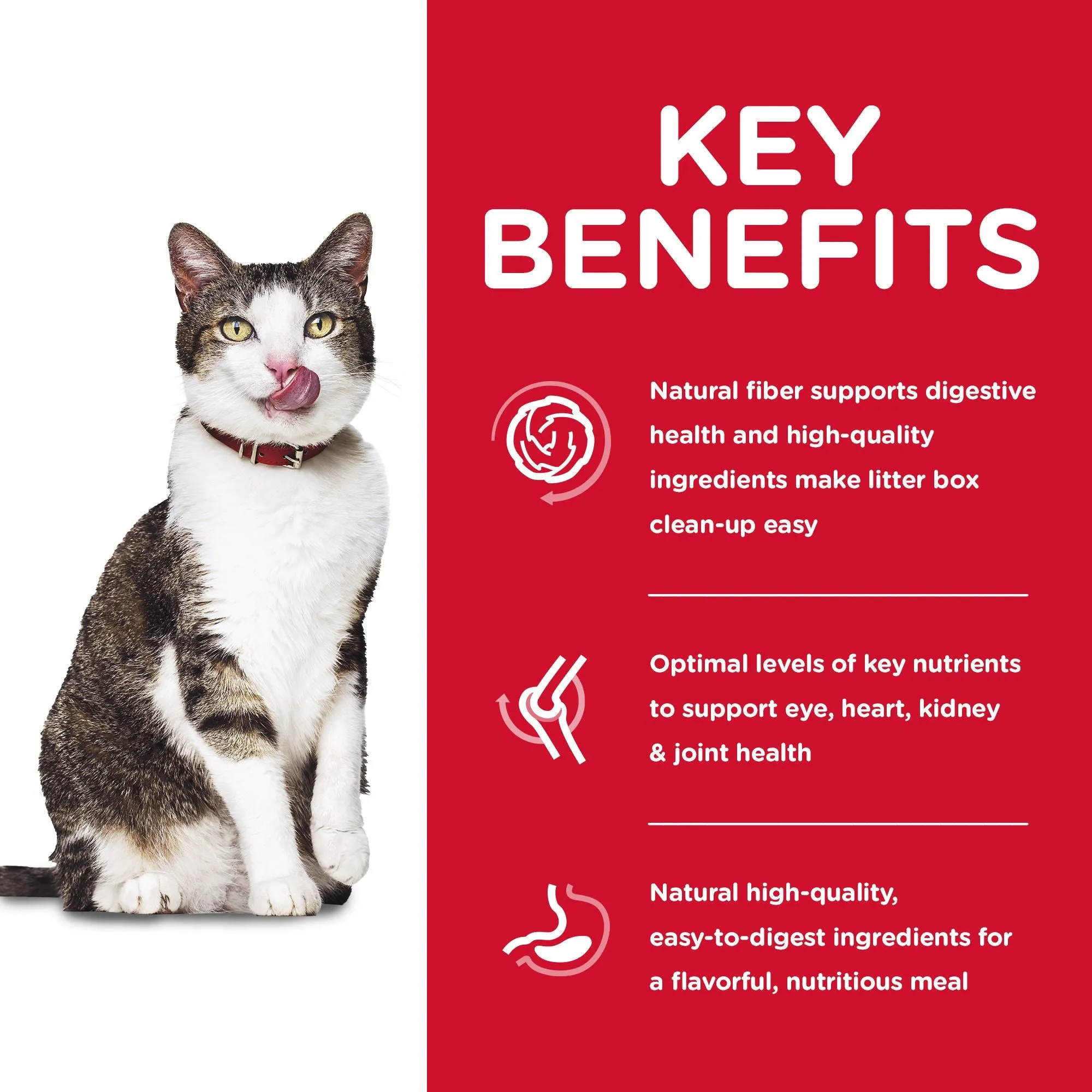 Hill's Science Diet Indoor Senior 11  Dry Cat Food, Chicken Recipe
