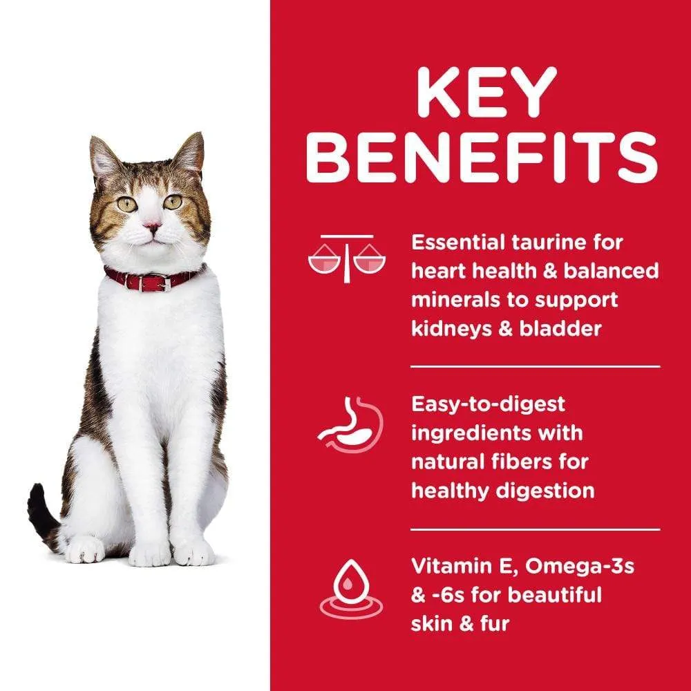 Hill's Science Diet Senior 7  Chicken Recipe Dry Cat Food