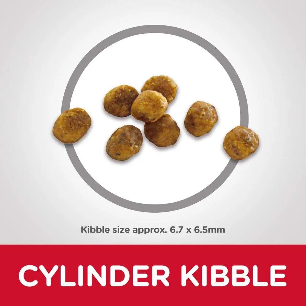 Hill's Science Diet Senior 7  Chicken Recipe Dry Cat Food