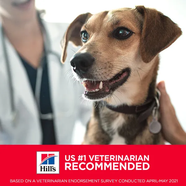 Hill's Science Diet Sensitive Stomach & Skin Small Bites Chicken Recipe Adult Dry Dog Food