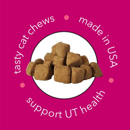 InClover Flow Urinary Tract Health Soft Chews Supplement for Cats