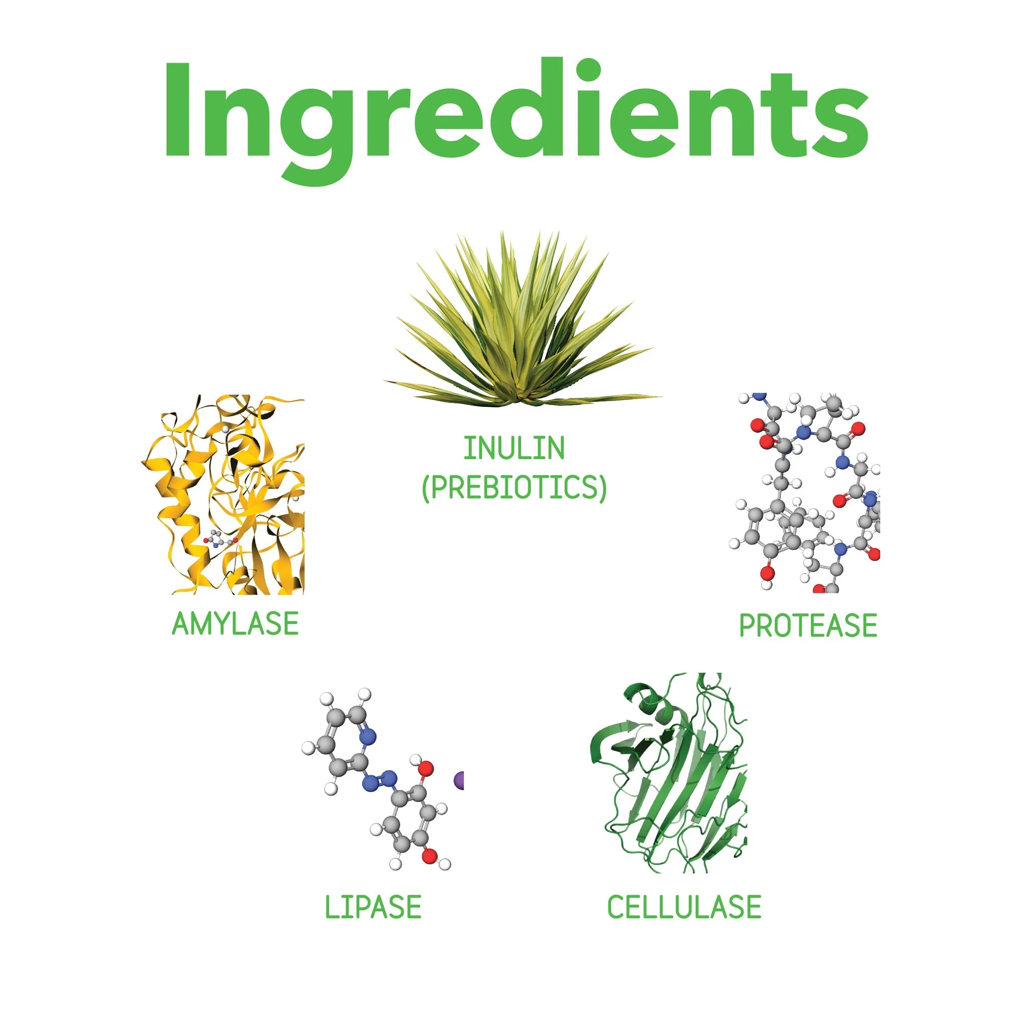 InClover Optagest Plant Based Prebiotics & Digestive Enzymes Powder for Dogs & Cats