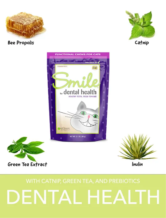 InClover Smile Dental Support Soft Chews Supplement for Cats