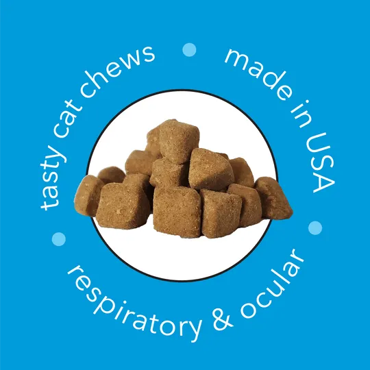 InClover Spry Respiratory & Ocular Support Soft Chews Supplement for Cats