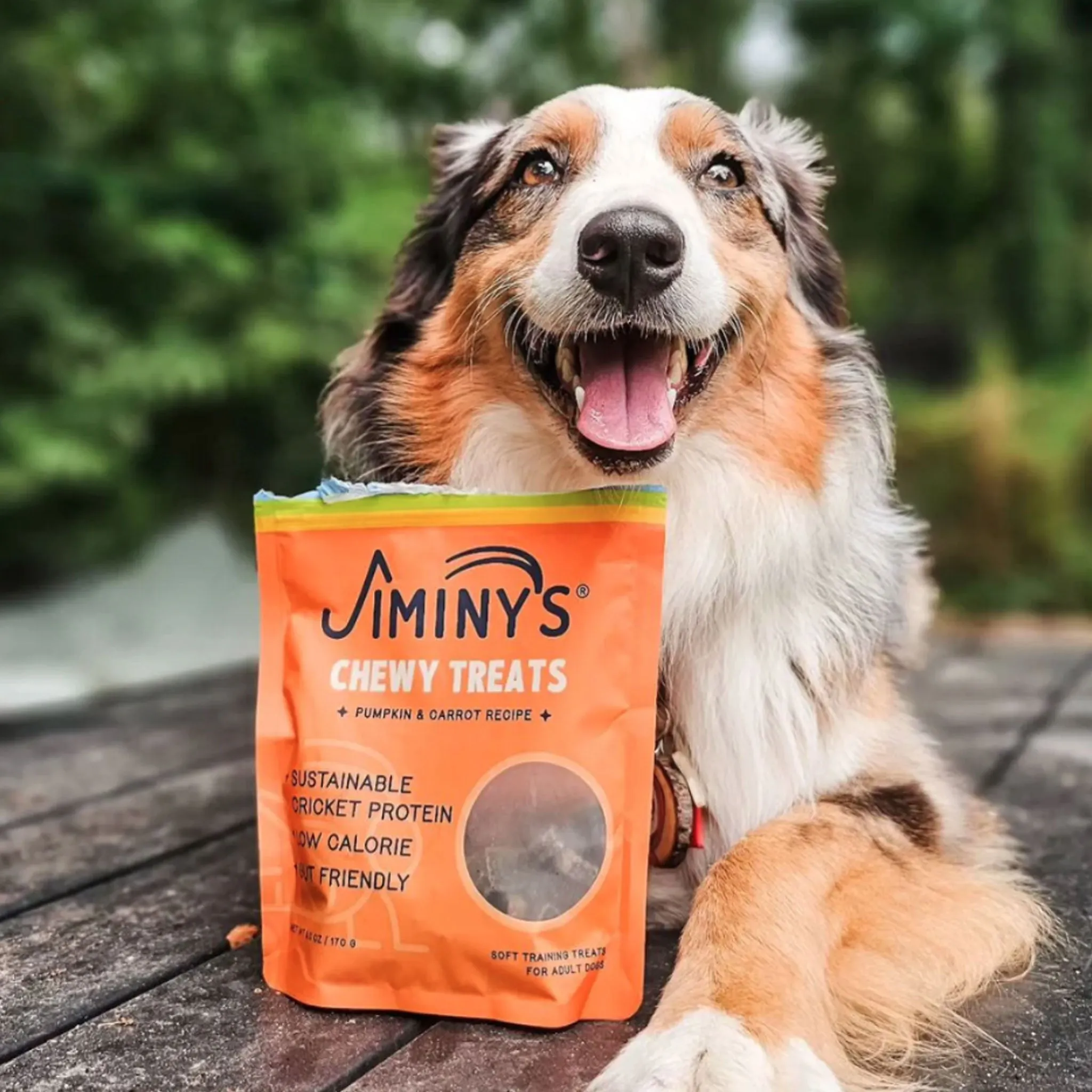 Jiminy's Cricket Cookie Pumpkin & Carrot Training Dog Treats - 6oz