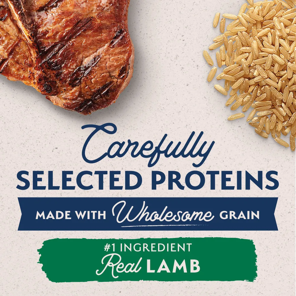 Natural Balance L.I.D. Limited Ingredient Diet Lamb & Brown Rice Large Breed Bites Dry Dog Food