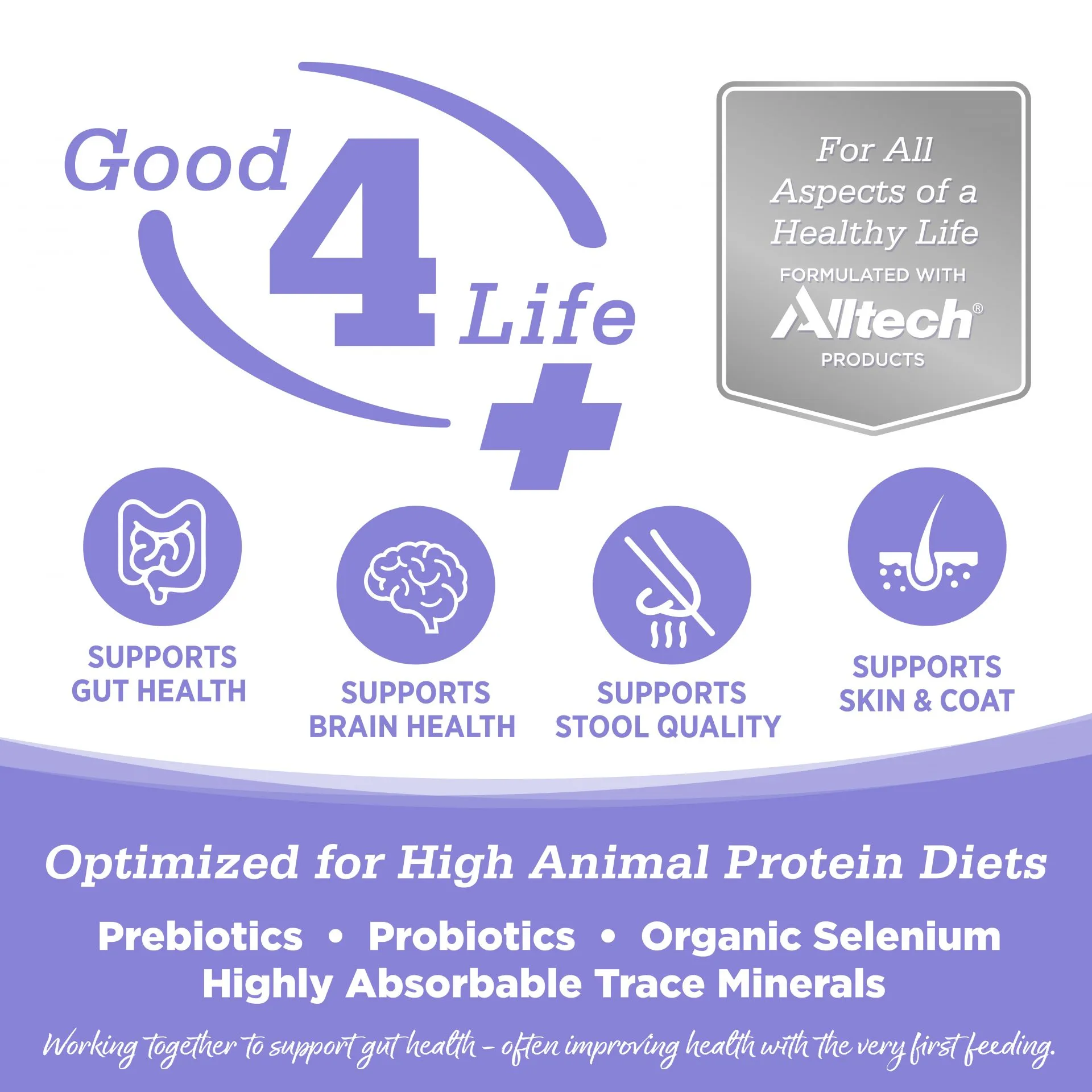 NutriSource Chicken & Salmon Select Grain Free Cat & Kitten Food