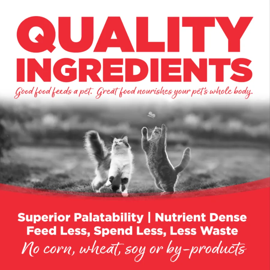 Nutrisource Grain Free Ocean Select Dry Cat Food