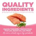NutriSource® PureVita™ Grain Free Salmon & Peas Entrée Dry Cat Food