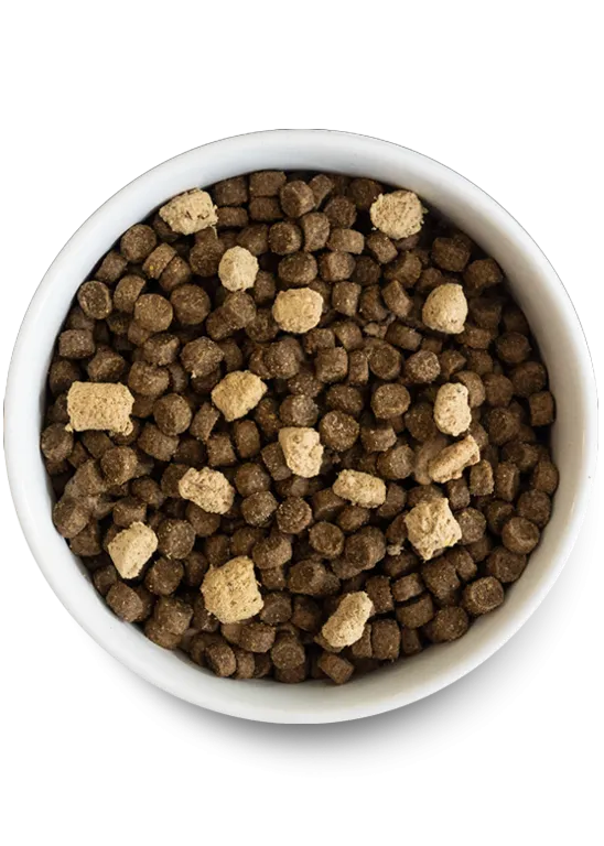 Open Farm Ancient Grains RawMix Wild Ocean Recipe Dog Food
