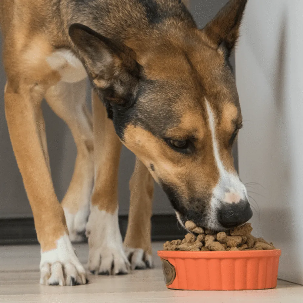 Open Farm Farmer's Table Pork Freeze Dried Raw Dog Food