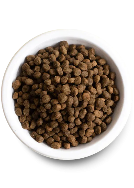 Open Farm Farmer's Table Pork Grain-Free Dry Dog Food