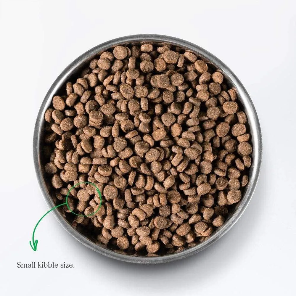 Open Farm Grain Free Catch of the Season Whitefish Recipe Dry Cat Food
