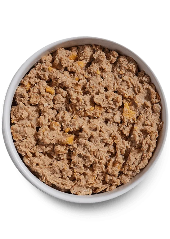 Open Farm Grain Free Chicken & Grass-Fed Beef Pate Wet Dog Food