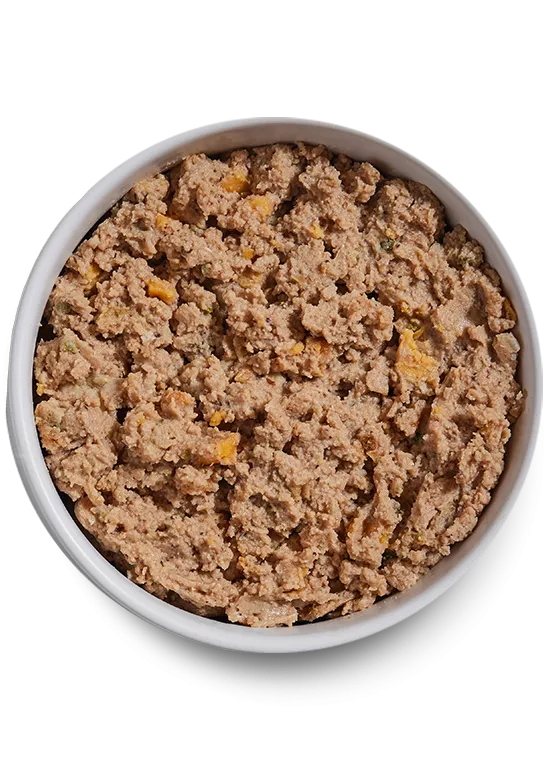 Open Farm Grain Free Chicken & Salmon Pate Wet Dog Food