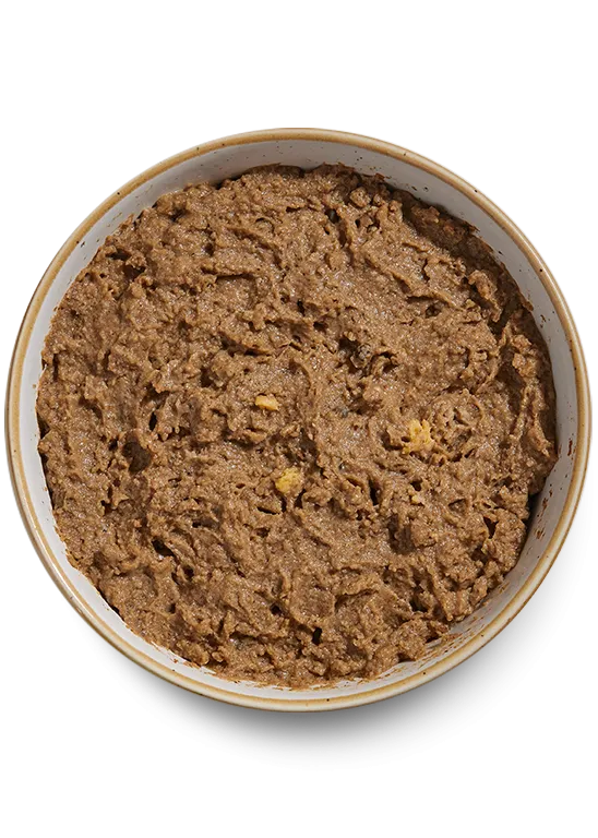 Open Farm Grain Free Wild-Caught Salmon Pate Wet Cat Food