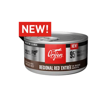 Orijen Regional Red Recipe Canned Cat Food