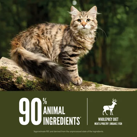 ORIJEN Tundra Dry Cat Food