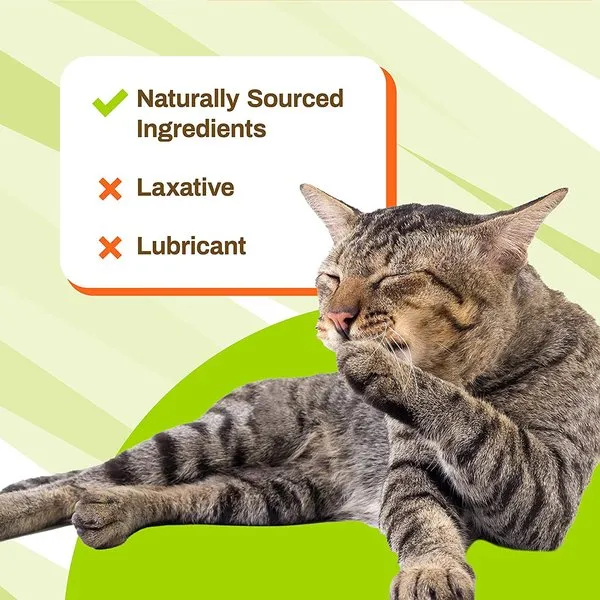 Pet Naturals Hairball Supplement Chews For Cats
