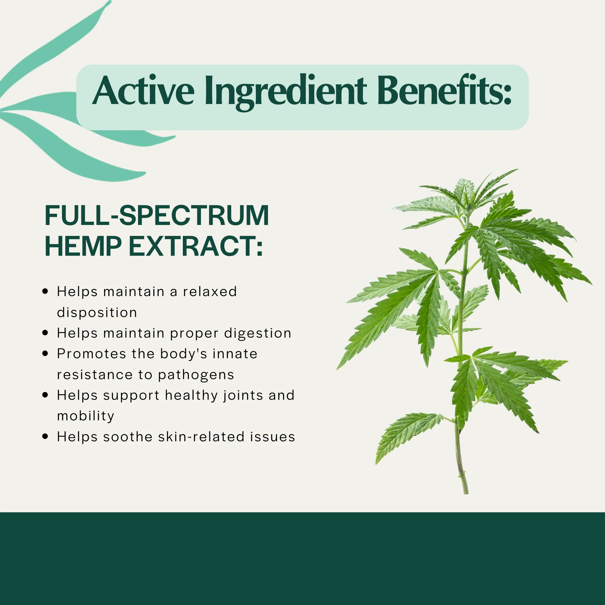 Pet Releaf Stress Releaf 300mg Hemp Oil for Dogs & Cats