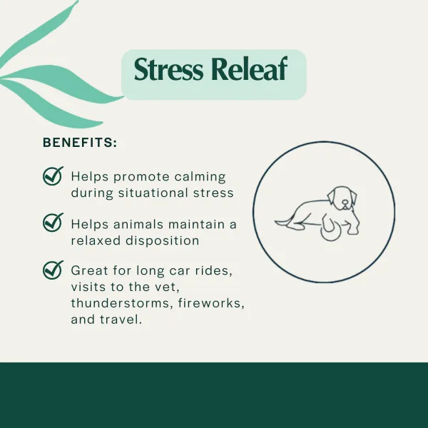 Pet Releaf Stress Releaf 300mg Hemp Oil for Dogs & Cats