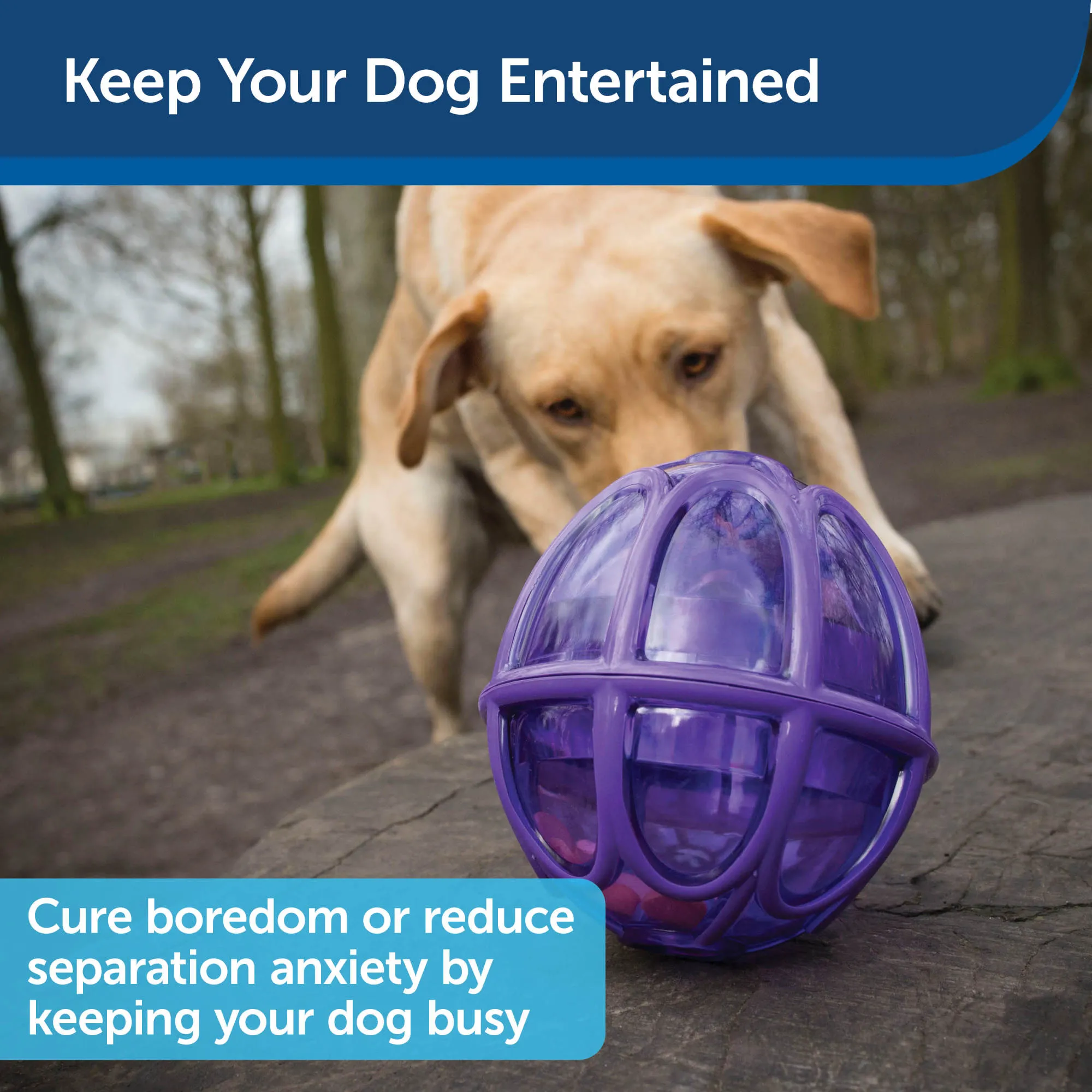 PetSafe Busy Buddy Kibble Nibble - Dog Toy - Treat and Food Dispenser - Slow feeder