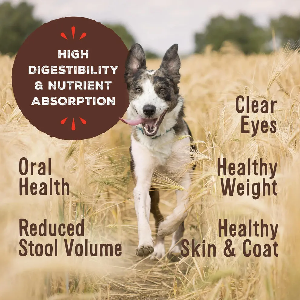 Primal Freeze Dried Nuggets Grain Free Beef Formula Dog Food