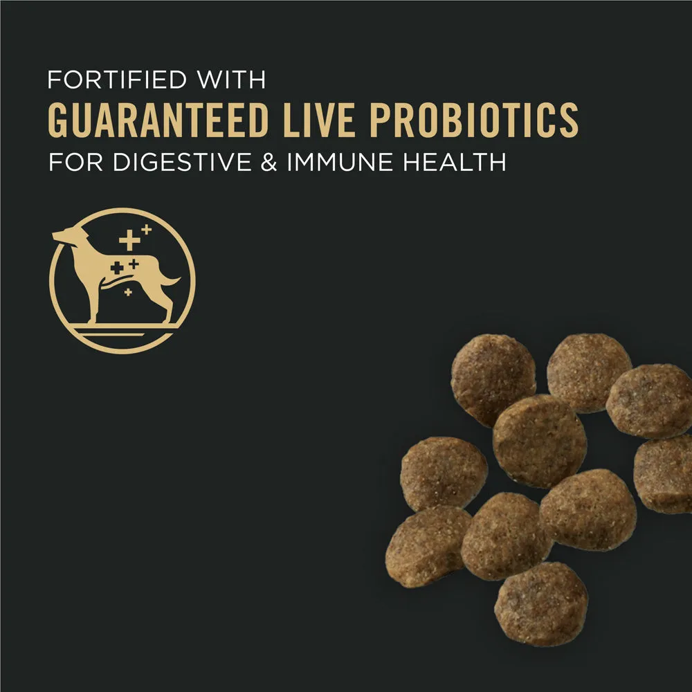 Purina Pro Plan Probiotic Sensitive Stomach Sensitive Skin & Stomach Salmon & Rice Formula Dry Puppy Food