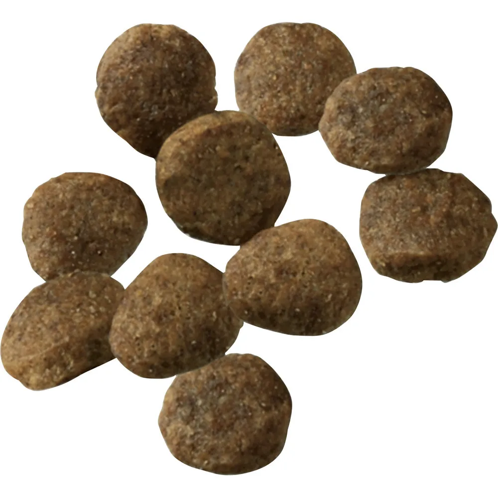 Purina Pro Plan Probiotic Sensitive Stomach Sensitive Skin & Stomach Salmon & Rice Formula Dry Puppy Food