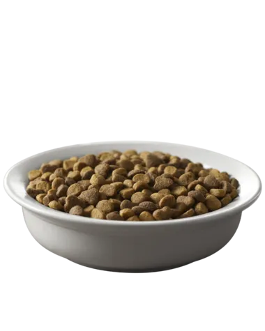 Purina Pro Plan Savor Salmon & Rice Formula Adult Dry Cat Food