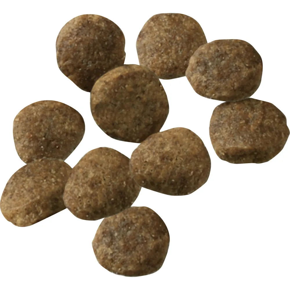 Purina Pro Plan Sensitive Skin & Stomach Lamb & Oat Meal With Probiotics Sensitive Stomach Dry Puppy Food