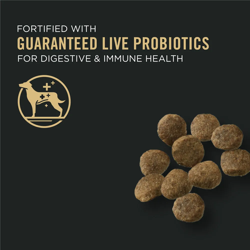Purina Pro Plan Sensitive Skin & Stomach Lamb & Oat Meal With Probiotics Sensitive Stomach Dry Puppy Food